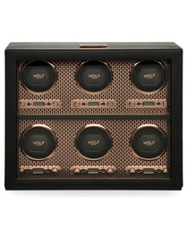 Axis 6pc Watch Winder