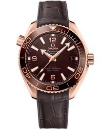 Planet Ocean 600m Co Axial Master Chronometer / 39.5mm