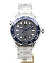 Men's watch / unisex  OMEGA, Diver 300m Co Axial Master Chronometer / 42mm, SKU: 210.30.42.20.06.001 | dimax.lv