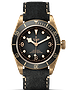 Men's watch / unisex  TUDOR, Black Bay Bronze / 43mm, SKU: M79250BA-0001 | dimax.lv