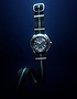 Men's watch / unisex  OMEGA, Seamaster Planet Ocean 6000m / 45.5mm, SKU: 215.92.46.21.01.001 | dimax.lv