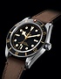 Men's watch / unisex  TUDOR, Black Bay Fifty-Eight / 39mm, SKU: M79030N-0002 | dimax.lv